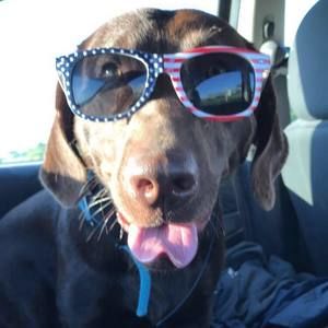 Meet your Posher, Nichole